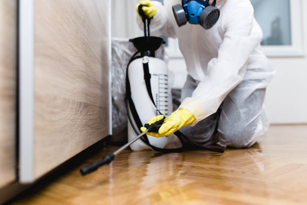 Best Pest Control Near Me in Donald, OR