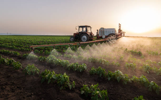 Best Mosquito Control Services  in Donald, OR