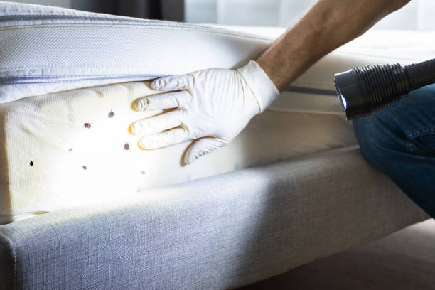 Best Pest Prevention Services  in Donald, OR