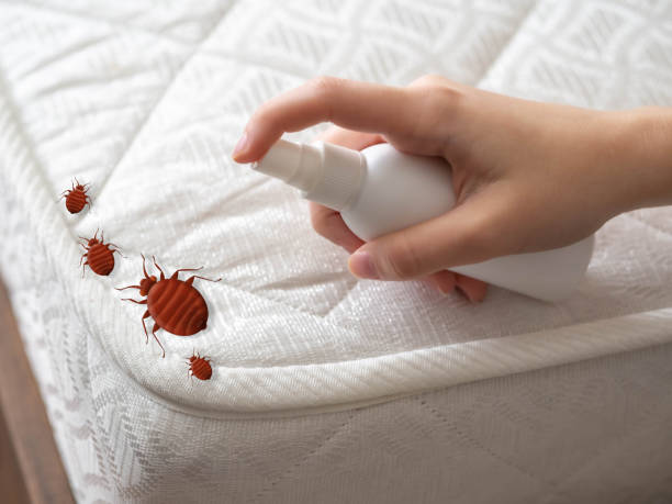 Best Cockroach Control Services  in Donald, OR