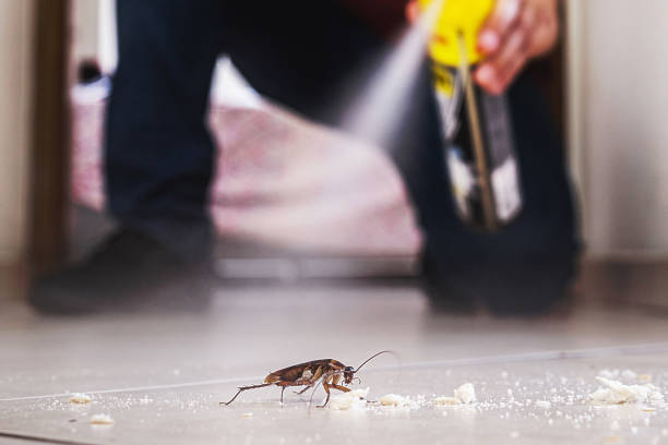 Reliable Donald, OR Pest Control Solutions